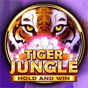 Đa dạng trò chơi 0k365 App