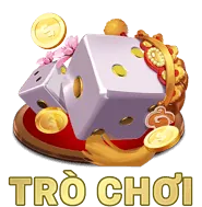 Giải đấu VIP